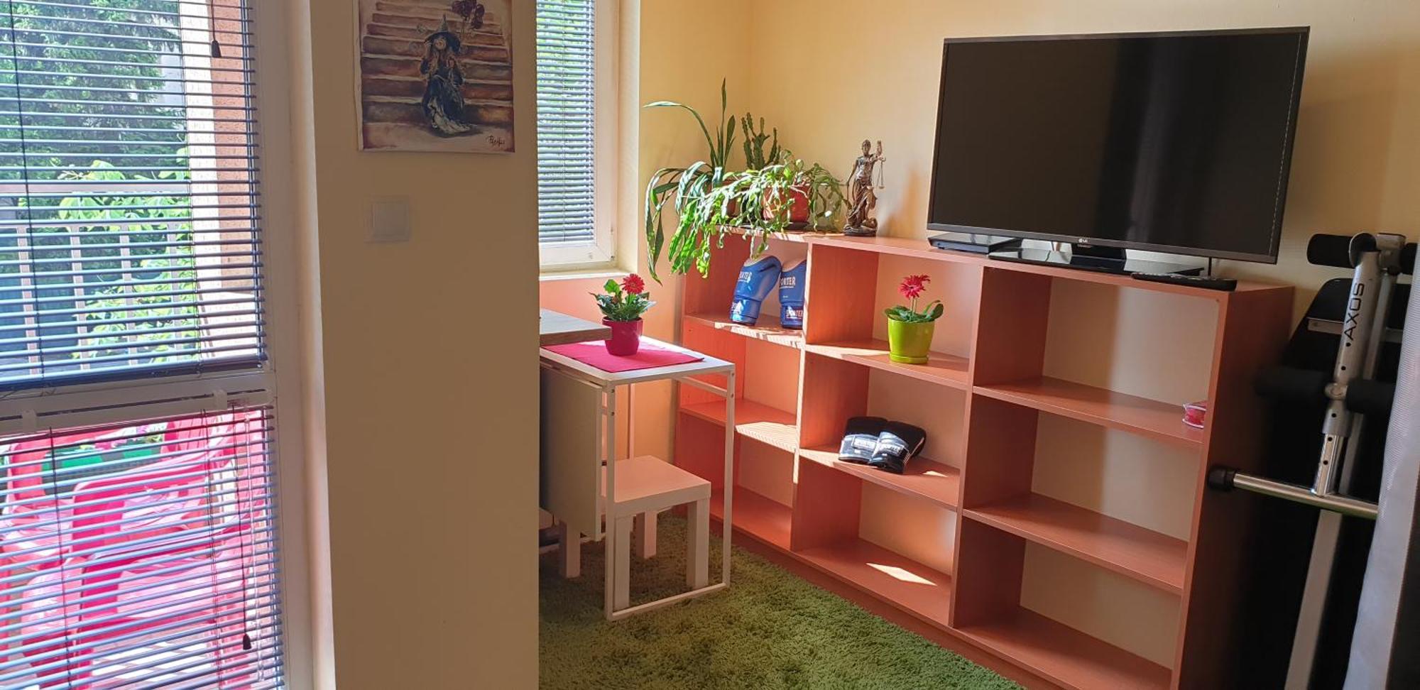 Private In The Center, Close To Subway, Medical Apartment