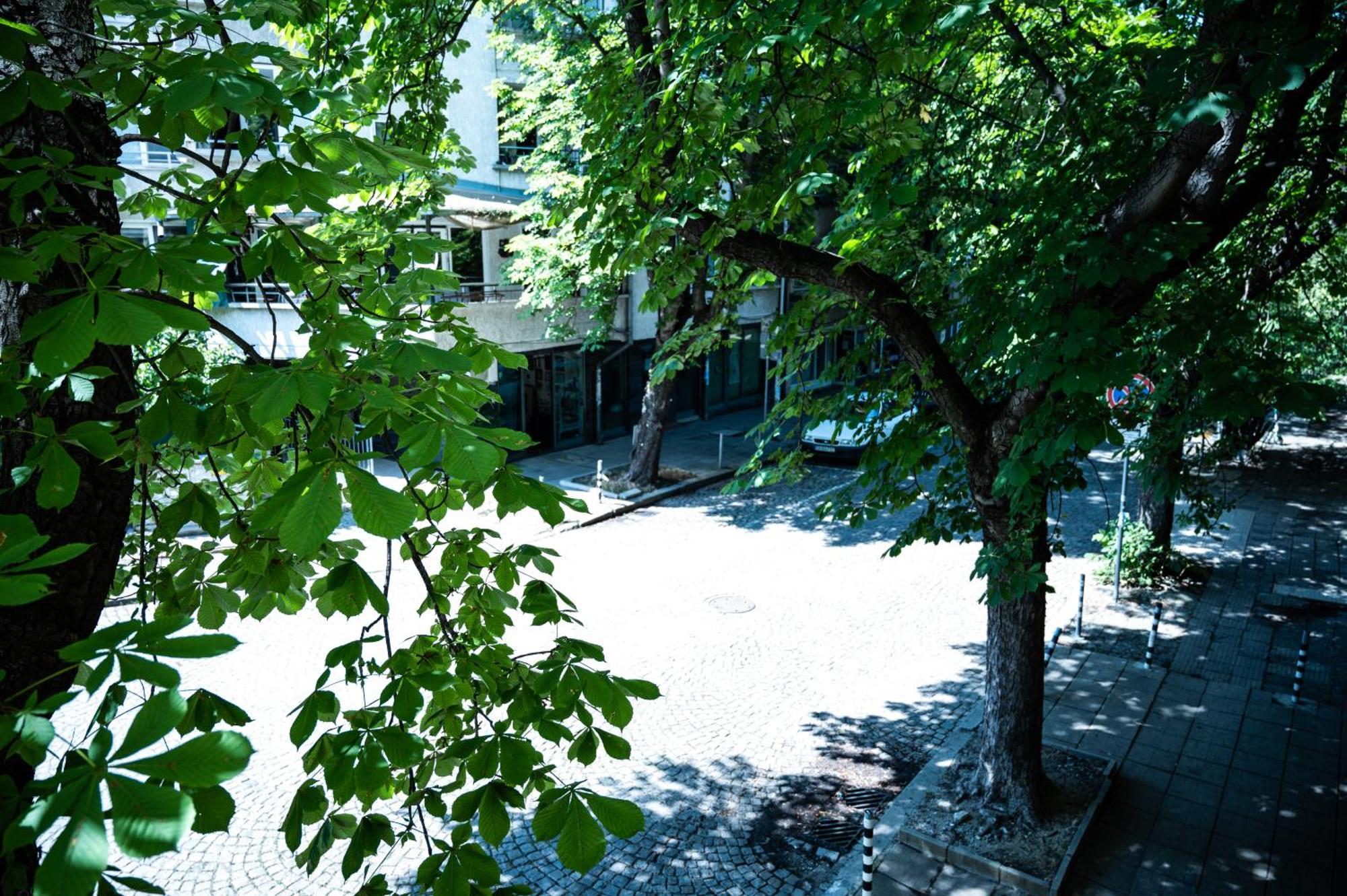 Private In The Center, Close To Subway, Medical Sofia